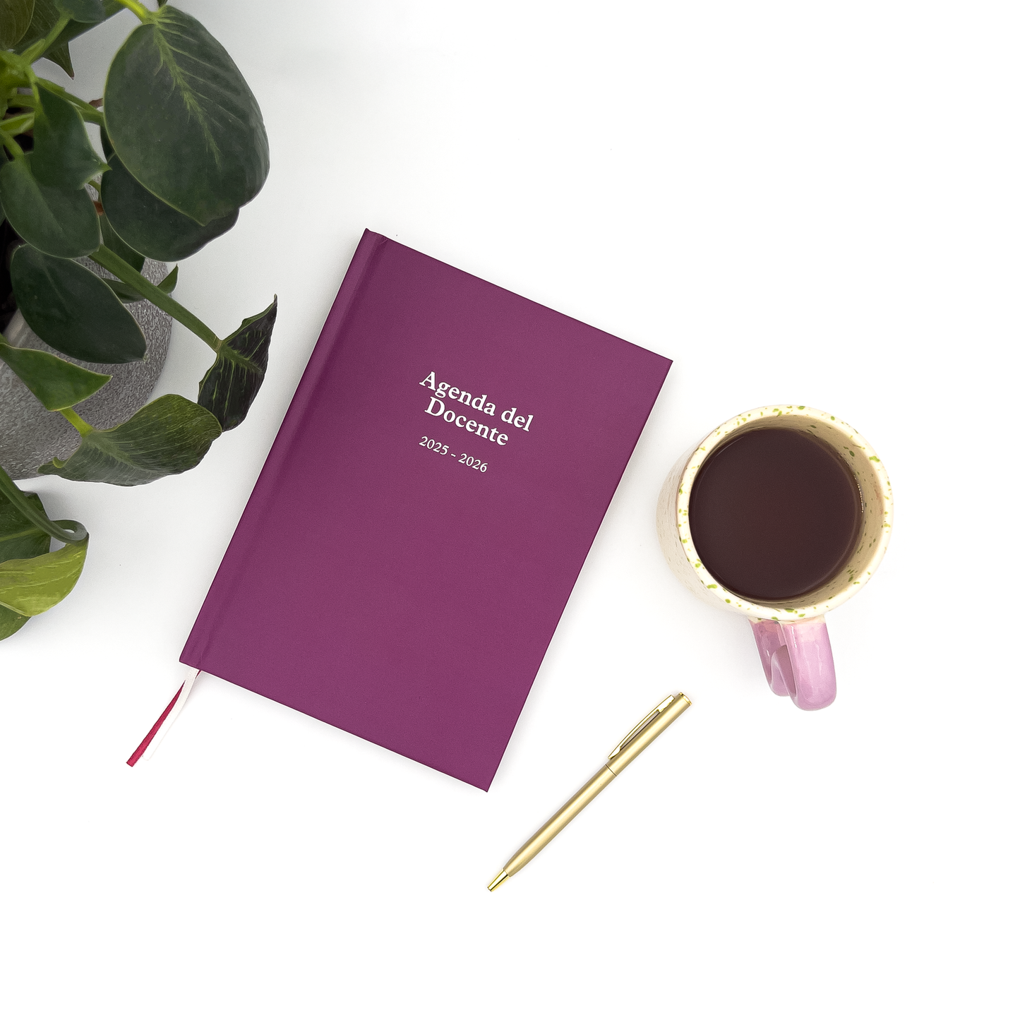 Agenda del Professore