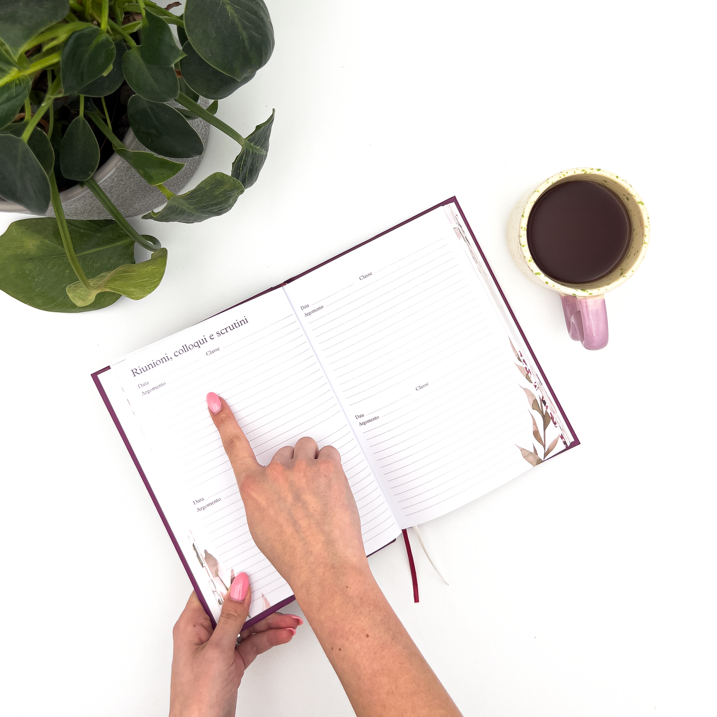 Agenda del Professore