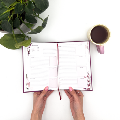 Agenda del Professore